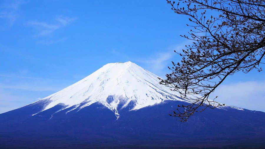 Mount Fuji